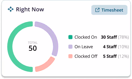bulk vevo checks tool