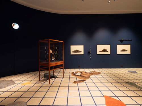 Brot úr framtíð. Sýning í Þjóðminjasafninu 2024.