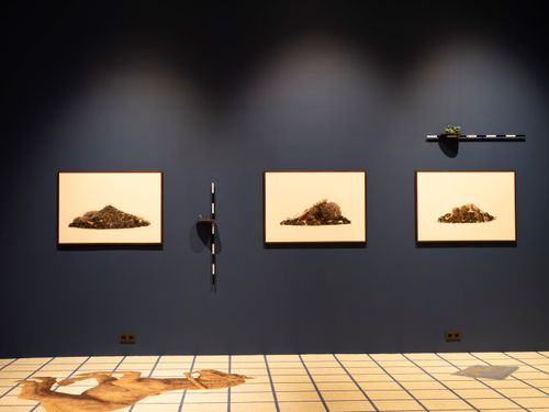 Brot úr framtíð. Sýning í Þjóðminjasafninu 2024.