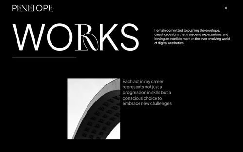 Realizzazione sito web artista designer