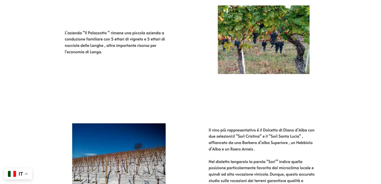 sviluppo Sito web per azienda agricola