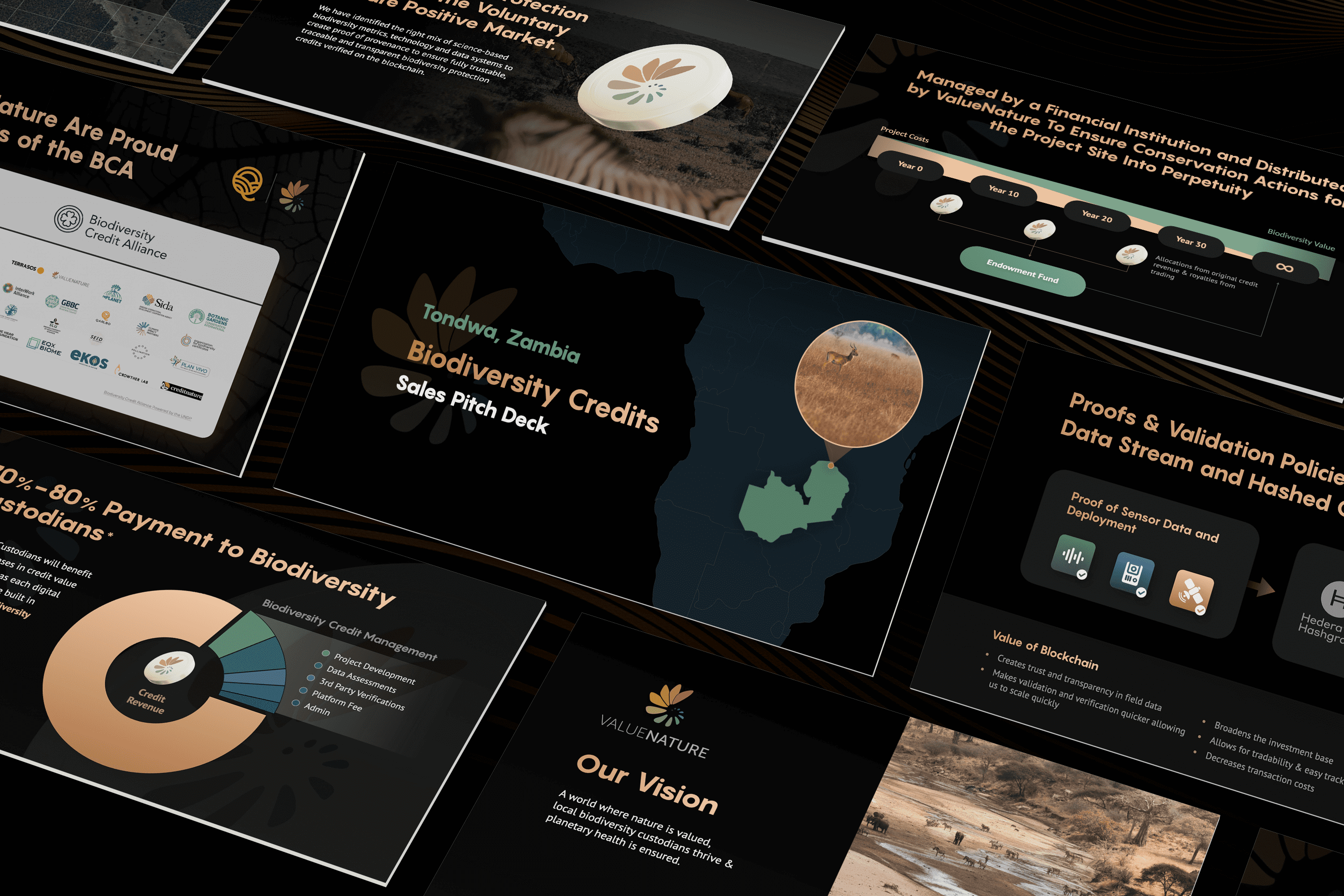 Investment-worthy pitch deck for fundraising in nature preservation field