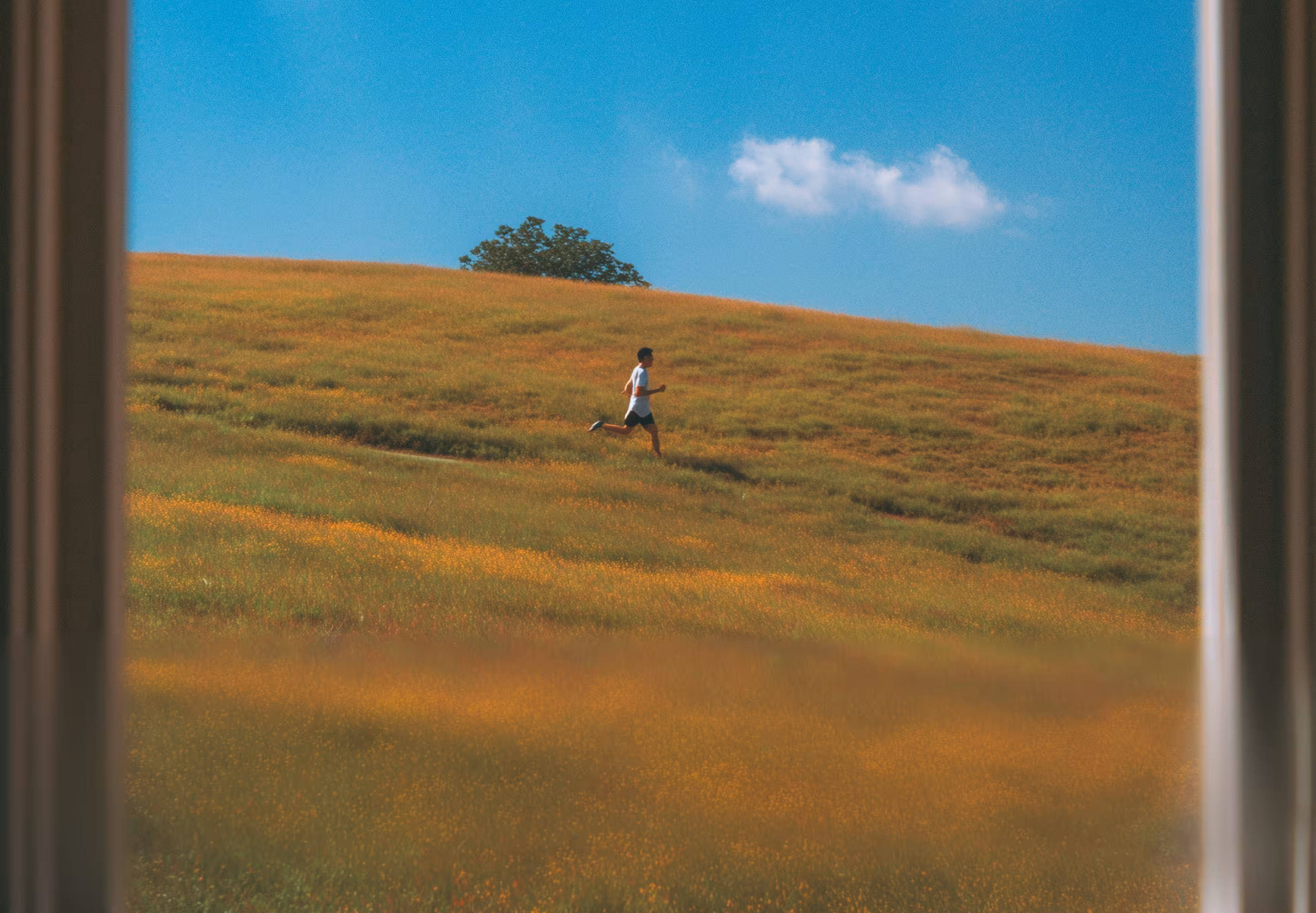 A person walking on a grassy hillside under a blue sky with a few clouds, viewed through a window frame. The landscape features rolling green terrain and scattered yellow flowers.