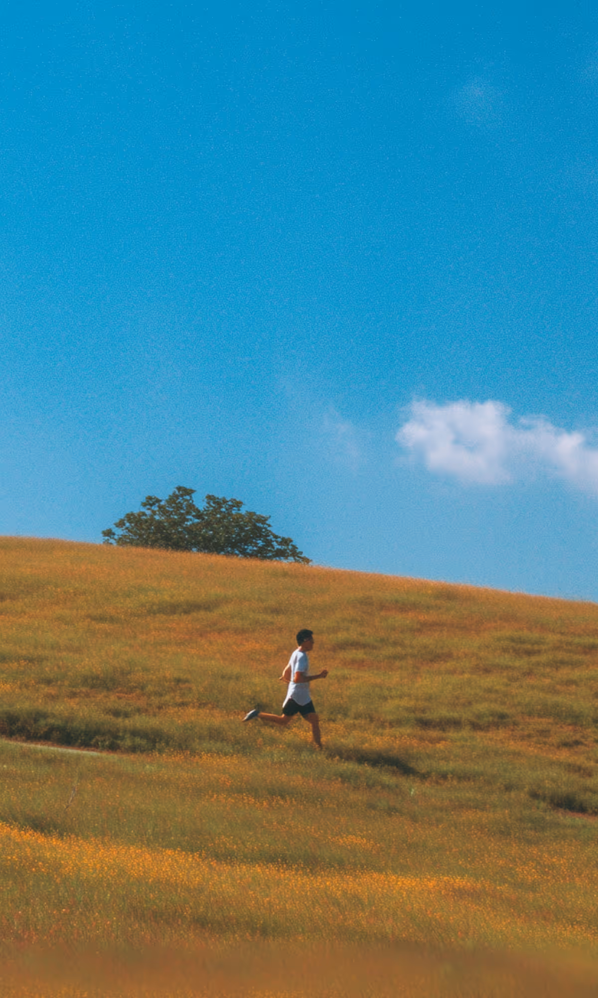 A person running on a grassy hillside under a clear blue sky with a few clouds. A lone tree is seen in the background amid the green and yellow grass.