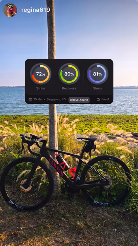 Black Canyon racing bicycle parked on grass near a palm tree by a waterfront under a clear sky.