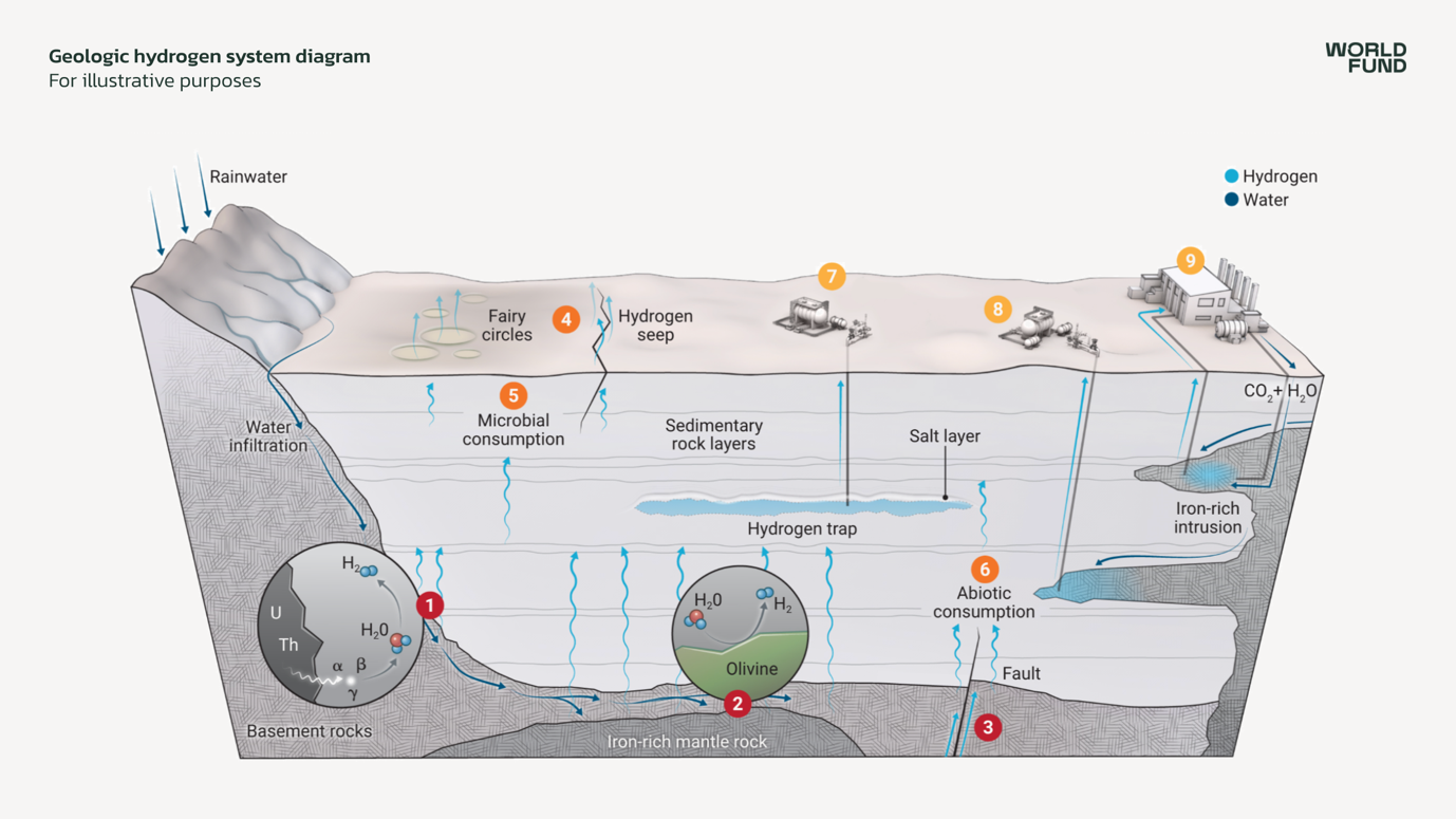 A diagram of a water cycleDescription automatically generated