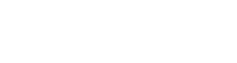 Pasini logo