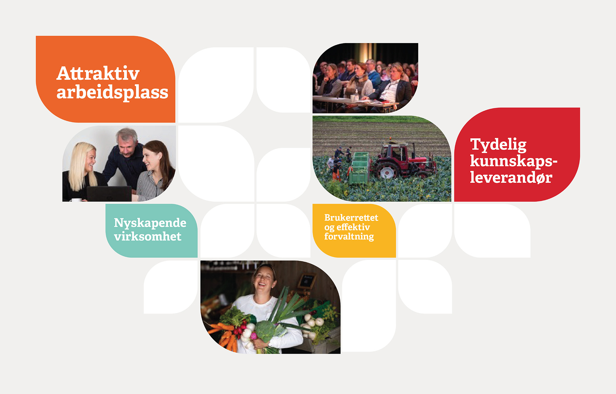 Eksempelbilde som oppsummerer Landbruksdirektoratets interne strategi  