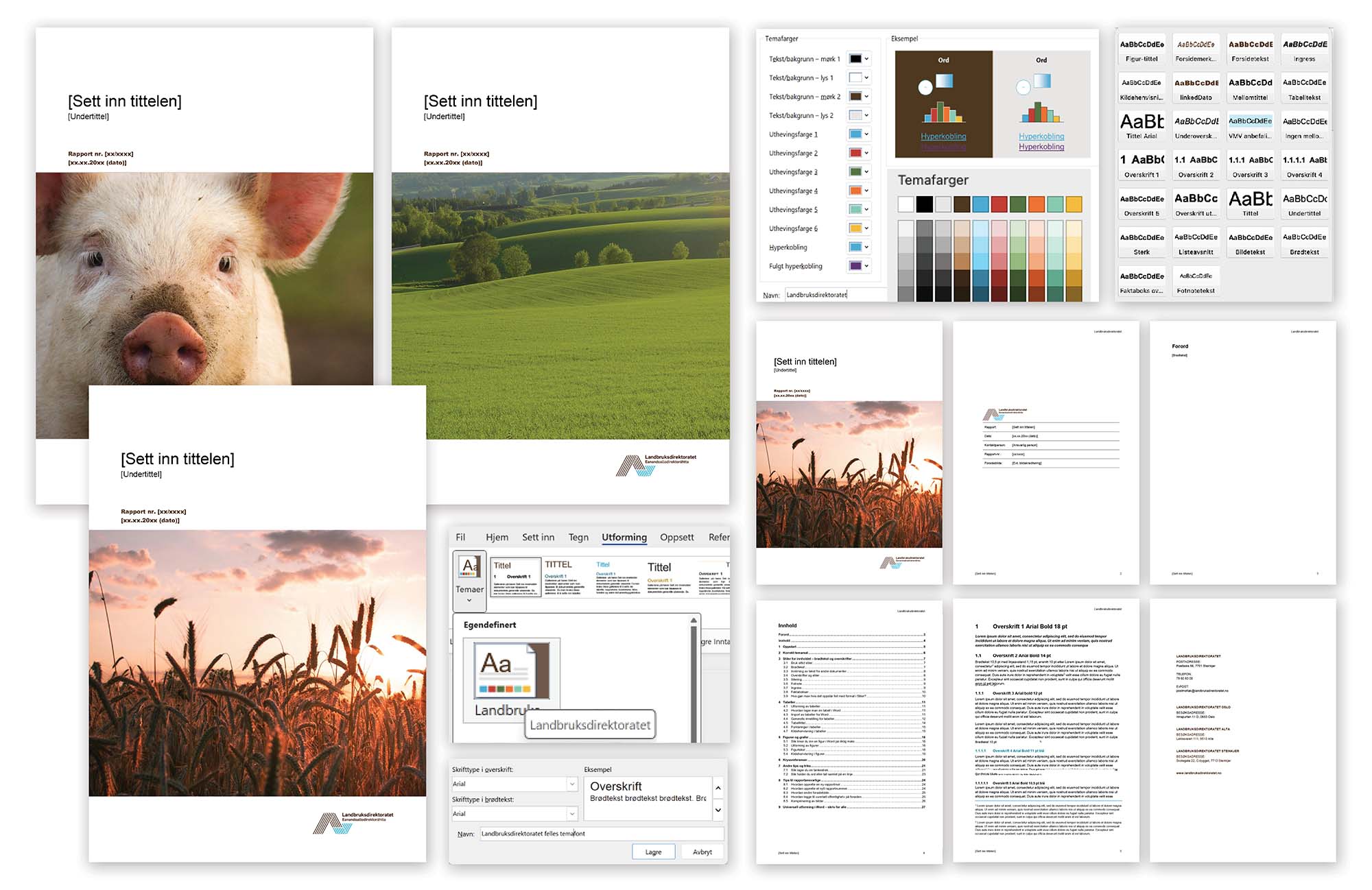 Bilde som viser oppsettet av word-malen til Landbruksdirektoratet