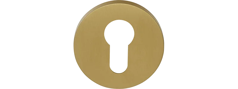 DRY53
