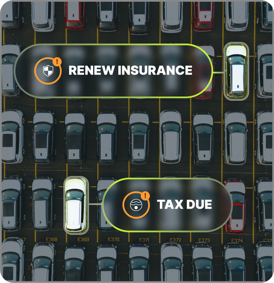 Line of fleets with cars and bentos