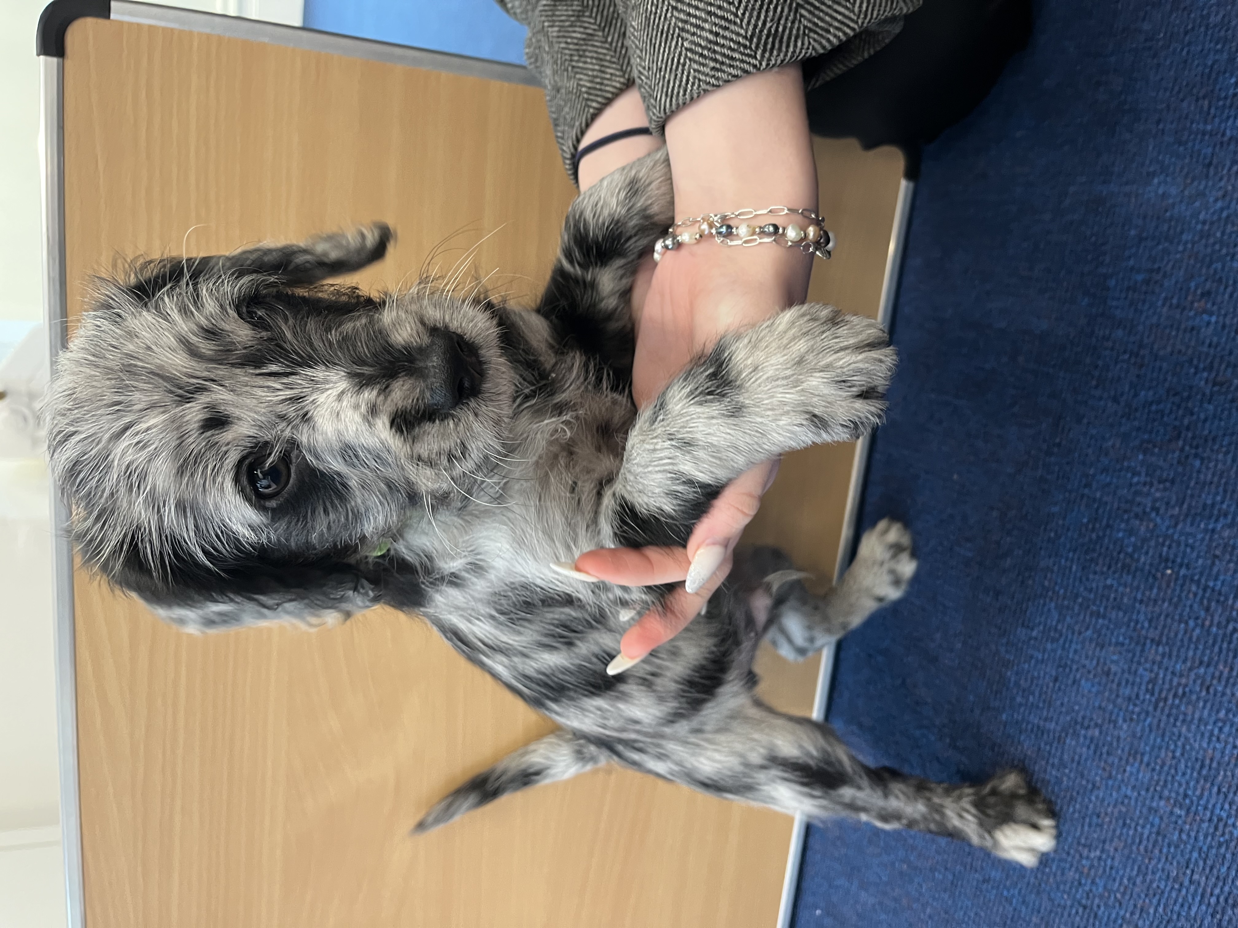 photo of students from the blog