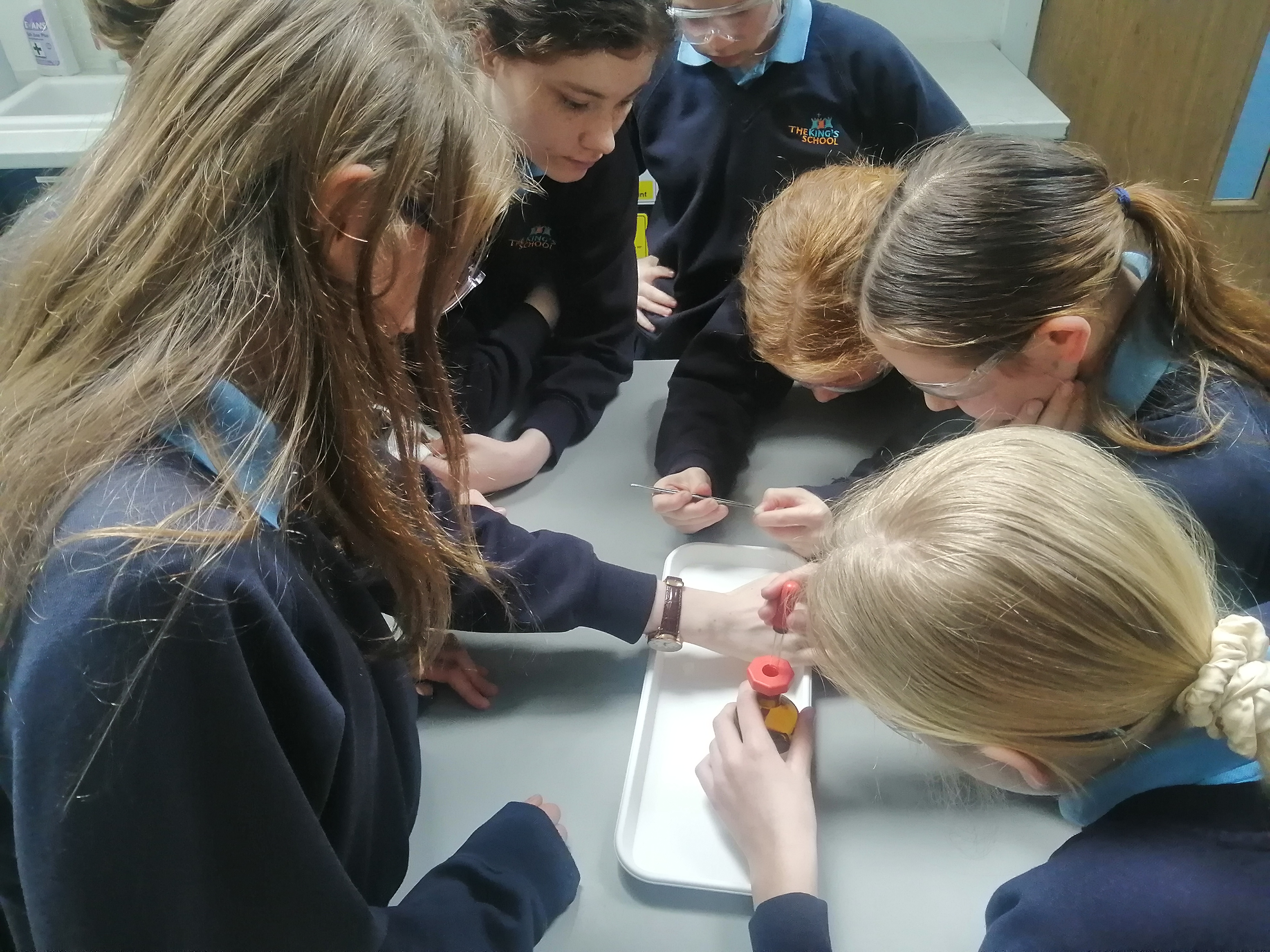 photo of students from the blog