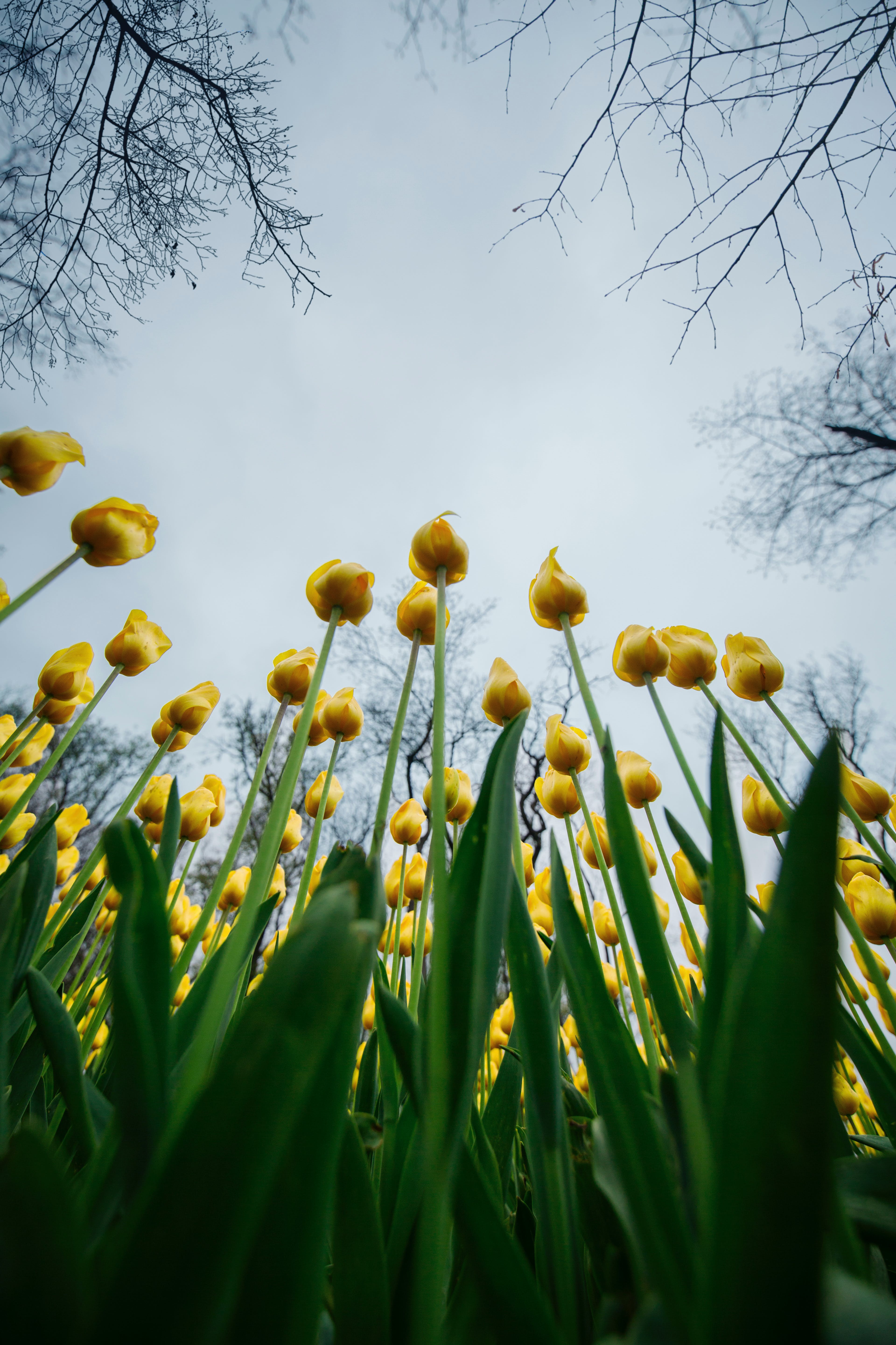 How Do Autistic People See The World?