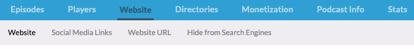 Screenshot: top nav bar with Website selected, and sub-nav bar