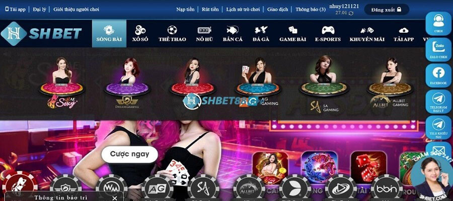 Đại lý Shbet Tất cả những gì bạn cần biết về sòng bạc trực tuyến Shbet