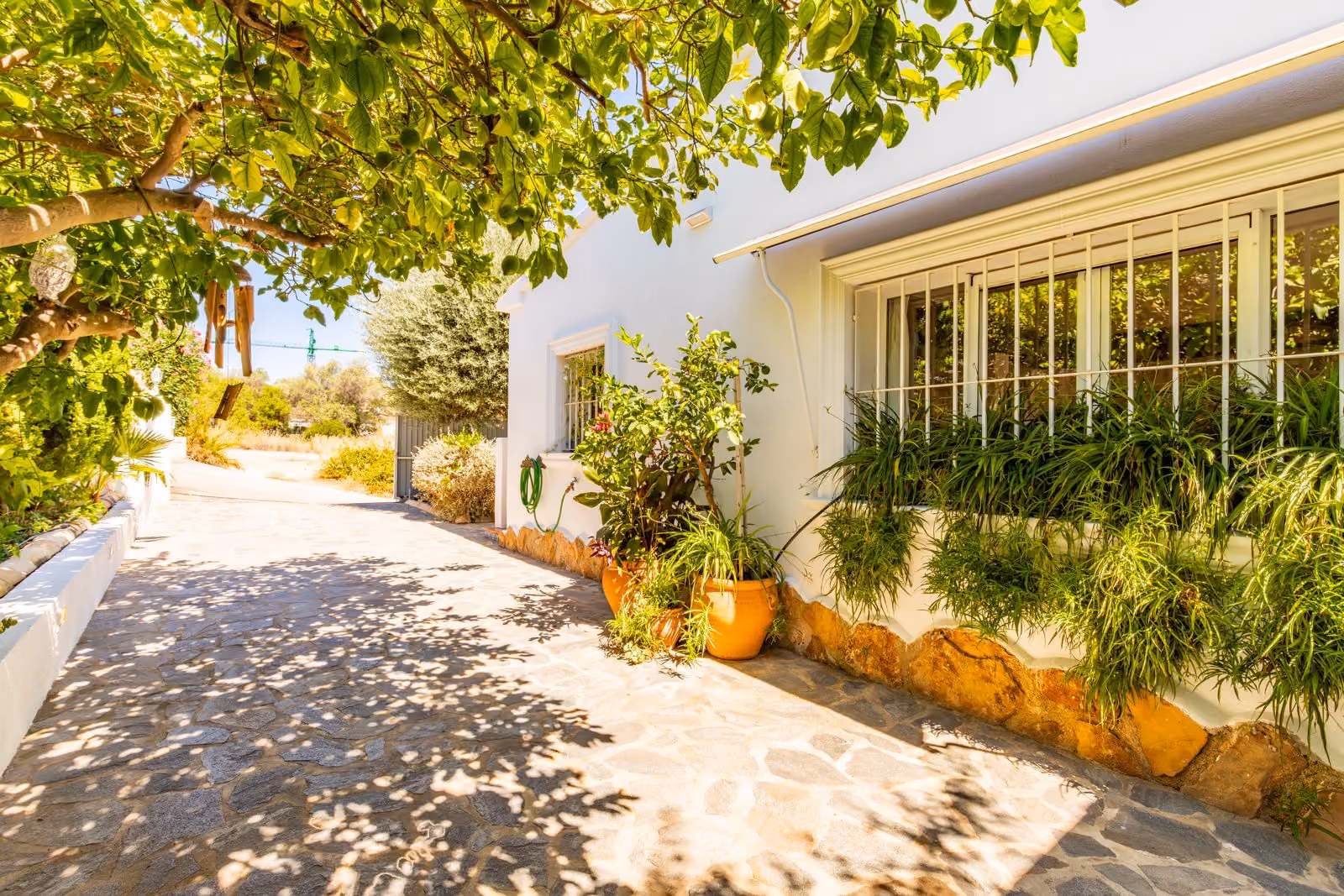 Property Image 5