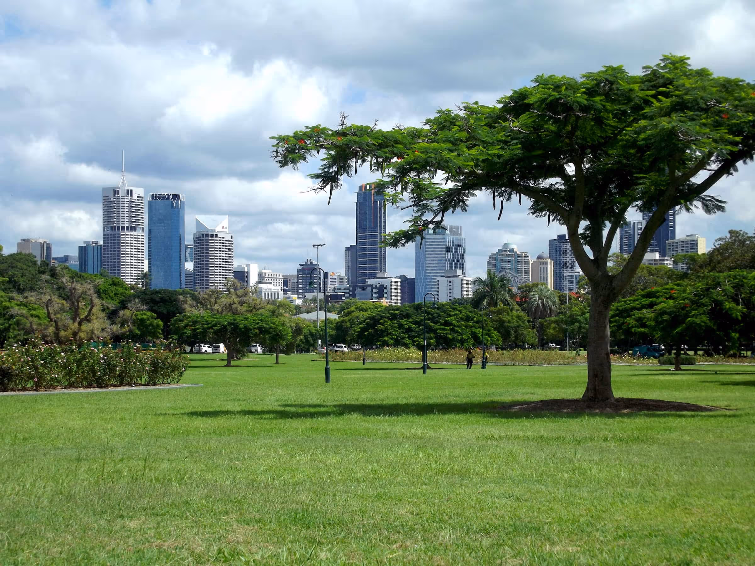 green space in london city with large tree in a park with skyline in background