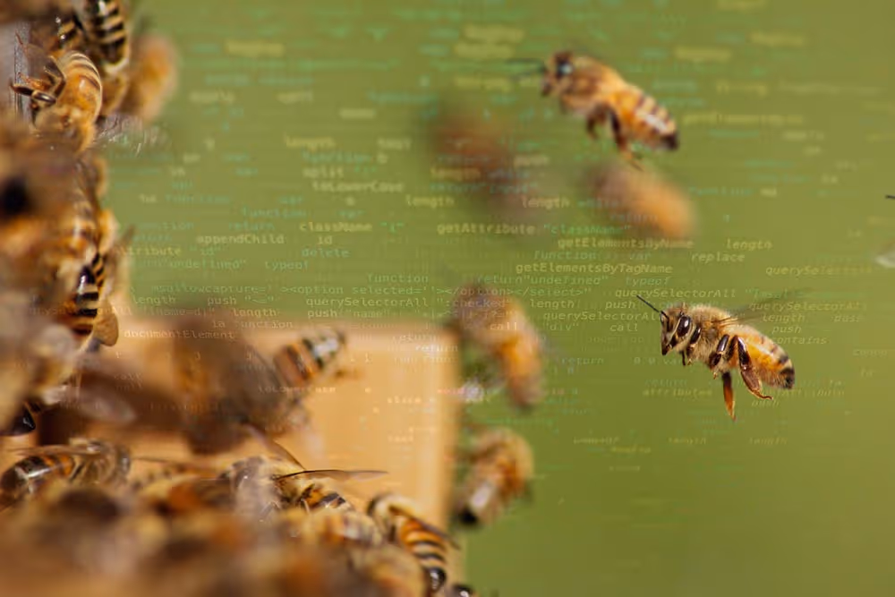Post 2020 science based targets for nature - bees & honey - NatureMetrics blog