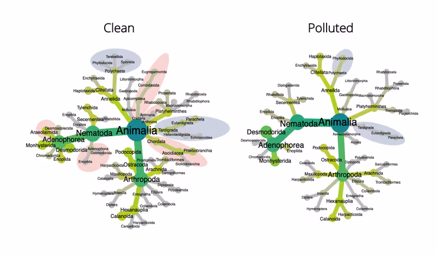 Post 2020 science based targets for nature - NatureMetrics blog