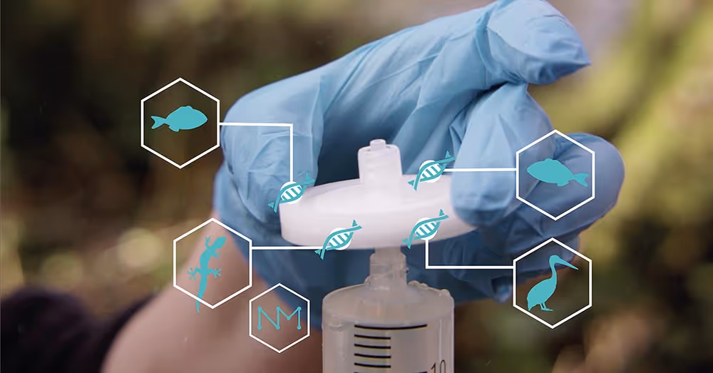 eDNA Discovery with NatureMetrics