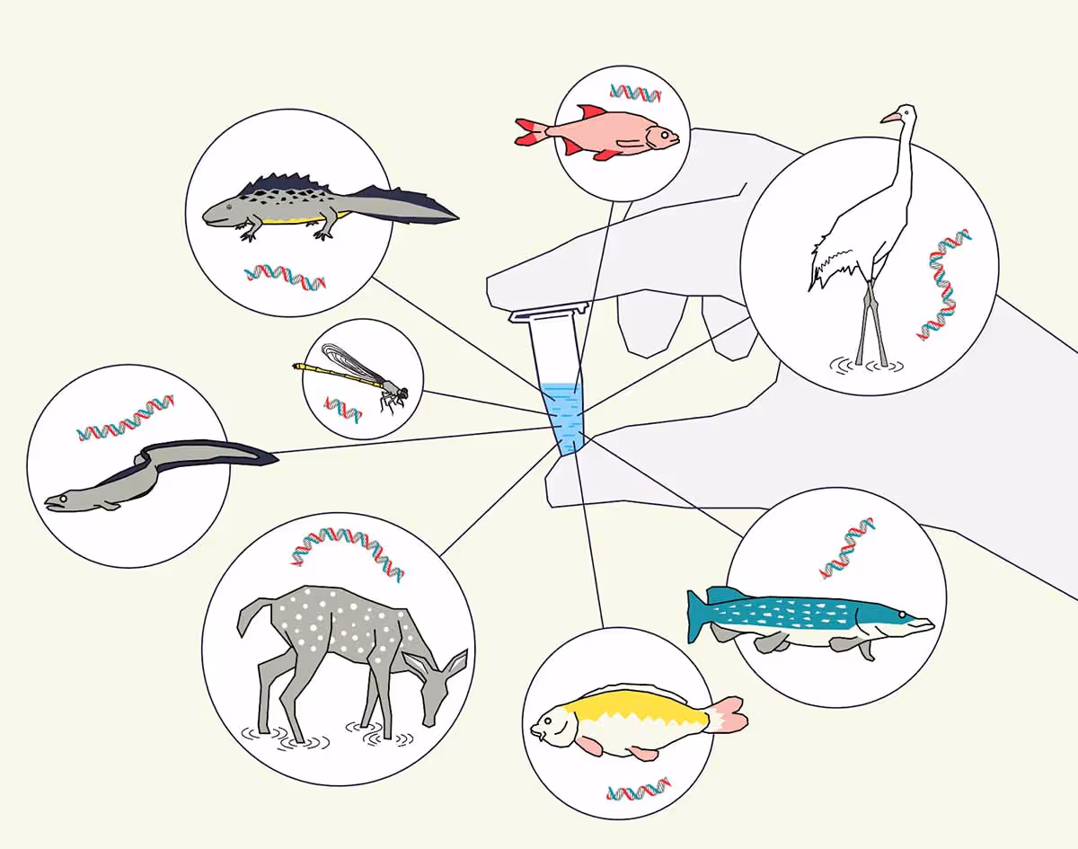 Animals from eDNA - NatureMetrics Blog
