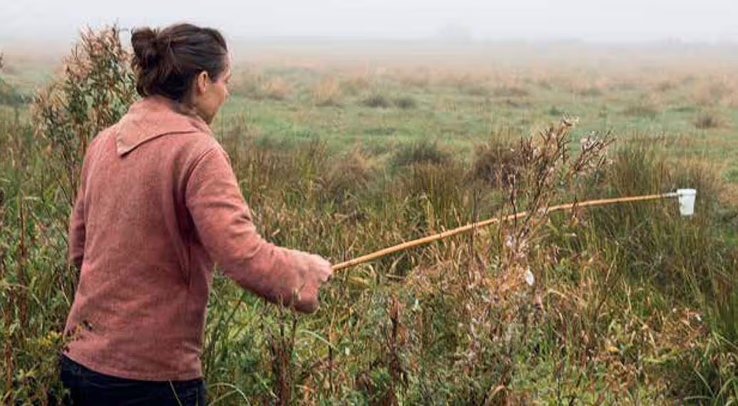 Developing DNA-based Techniques in Natural England for Surveying and Monitoring Biodiversity - Fig.1