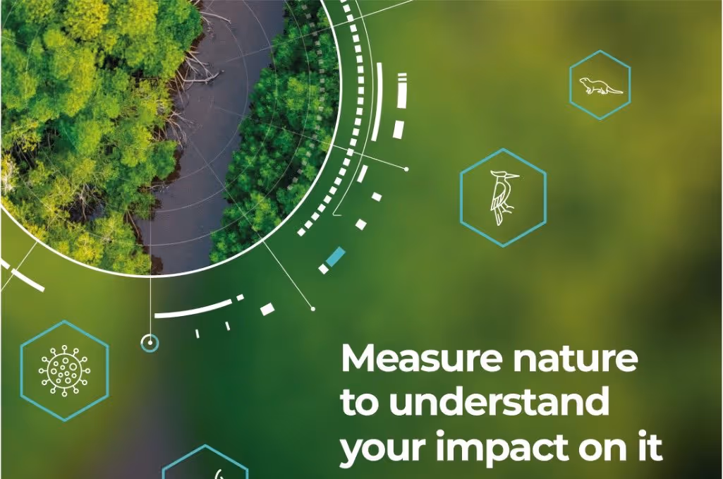 Building a strong data foundation for Nature-based Solutions
