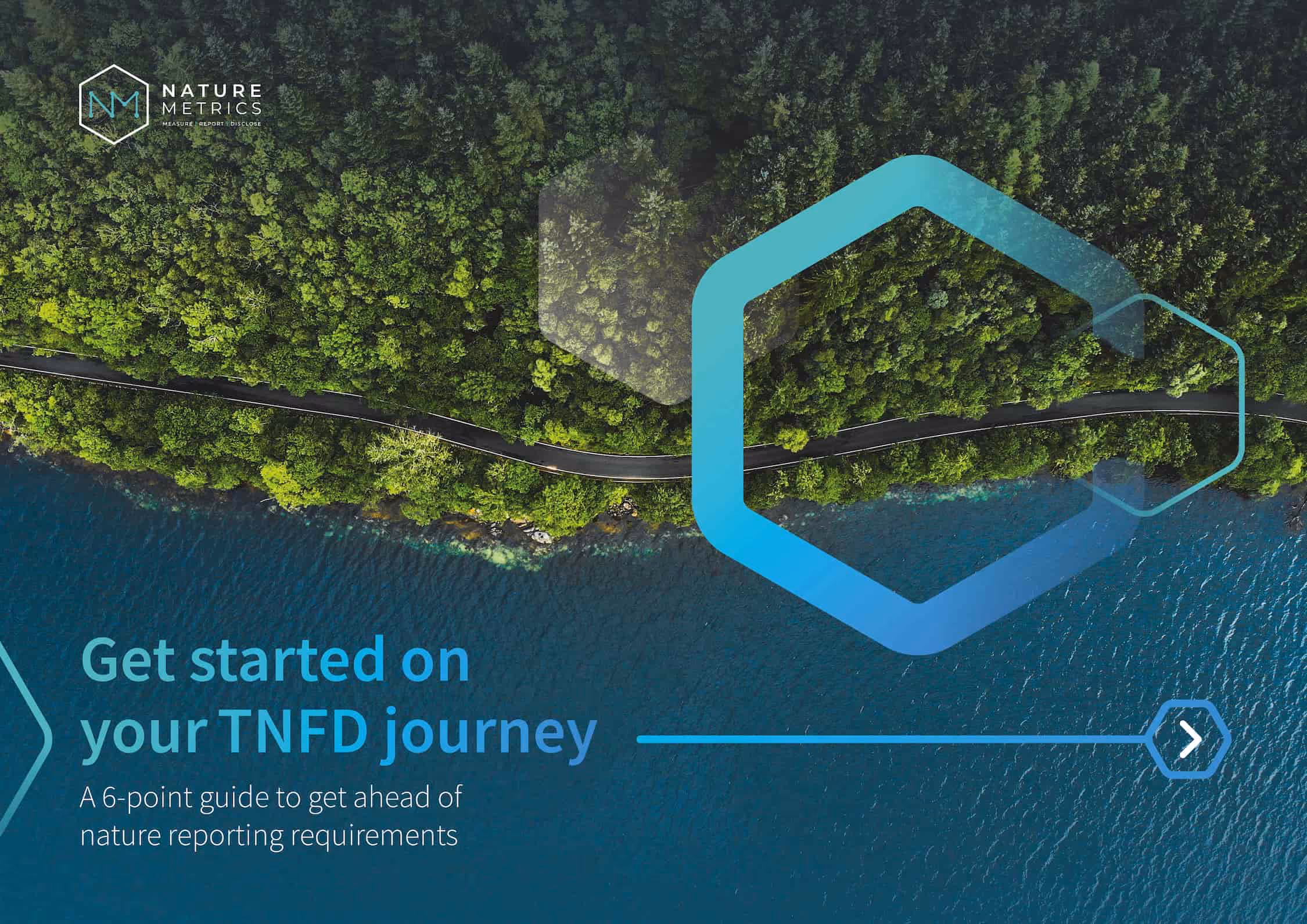 TNFD is here: why businesses need to start now to get ahead of new nature governance
