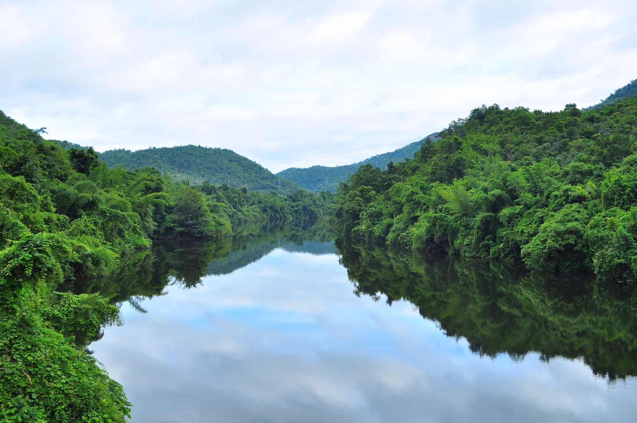 Breakthrough Tech Collaboration Enables Rainforest Biodiversity to be Monitored Remotely