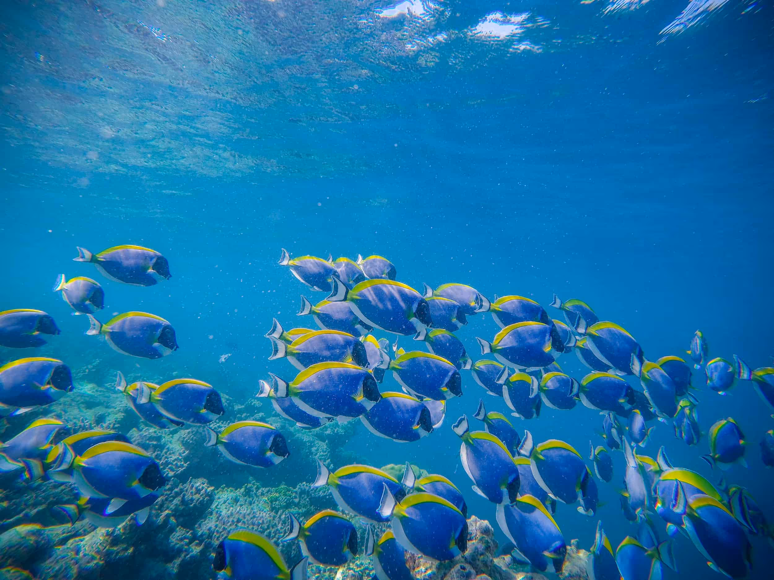 DNA-based Biodiversity Monitoring Company NatureMetrics Announces $15M in New Funding to Bring Nature Data to the Boardroom