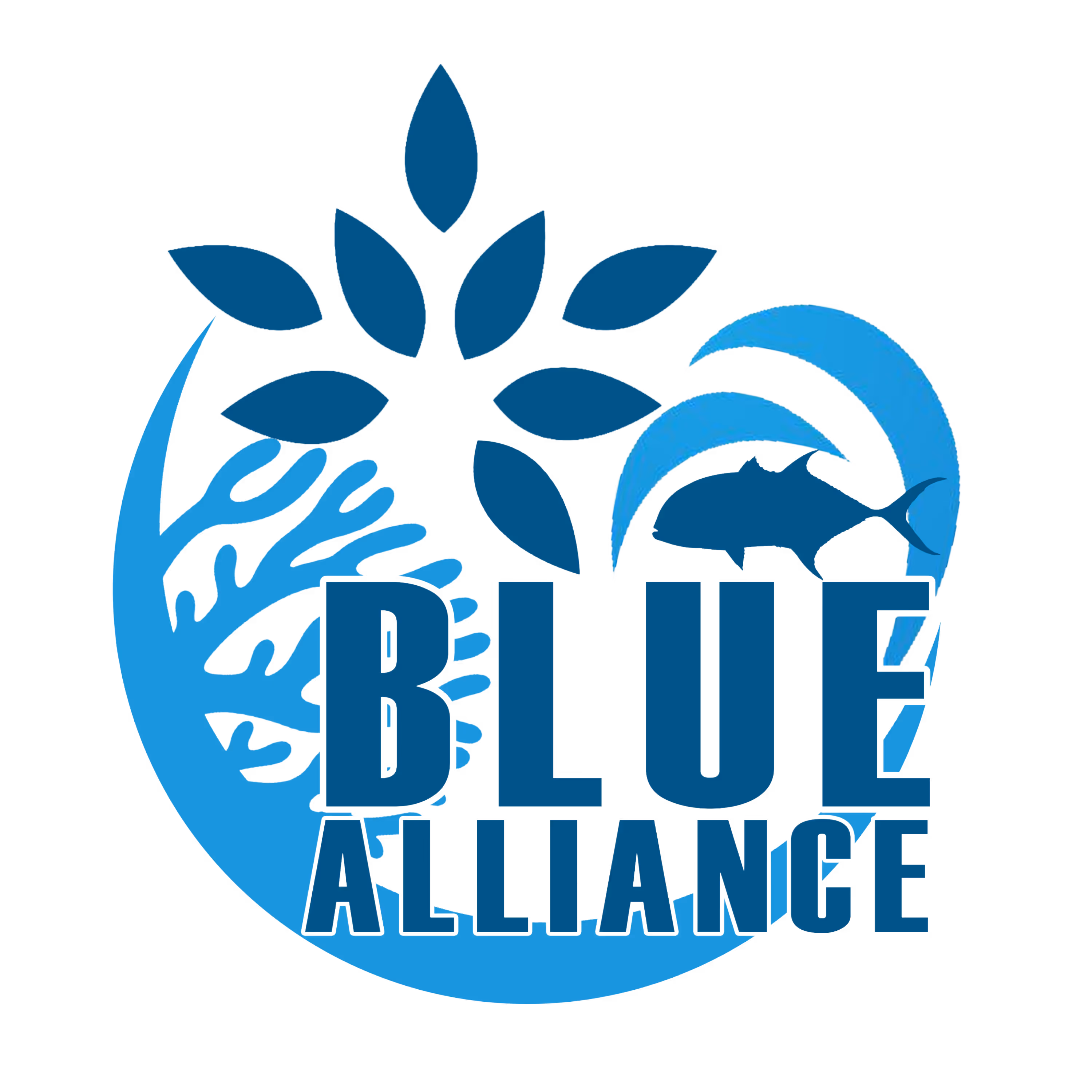 Blue Finance 
