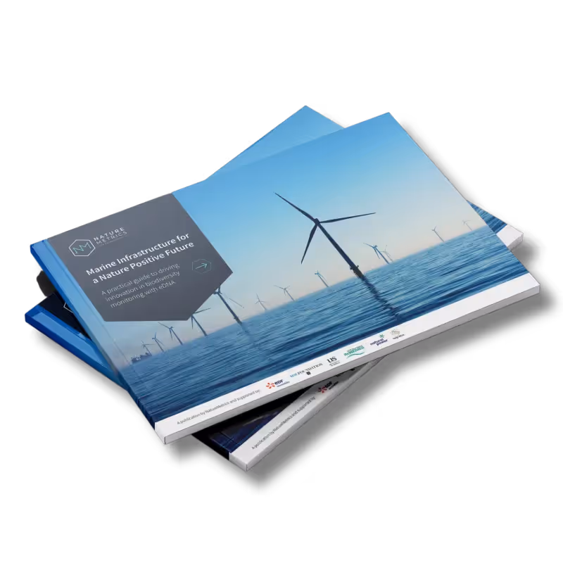 Marine Infrastructure White Paper