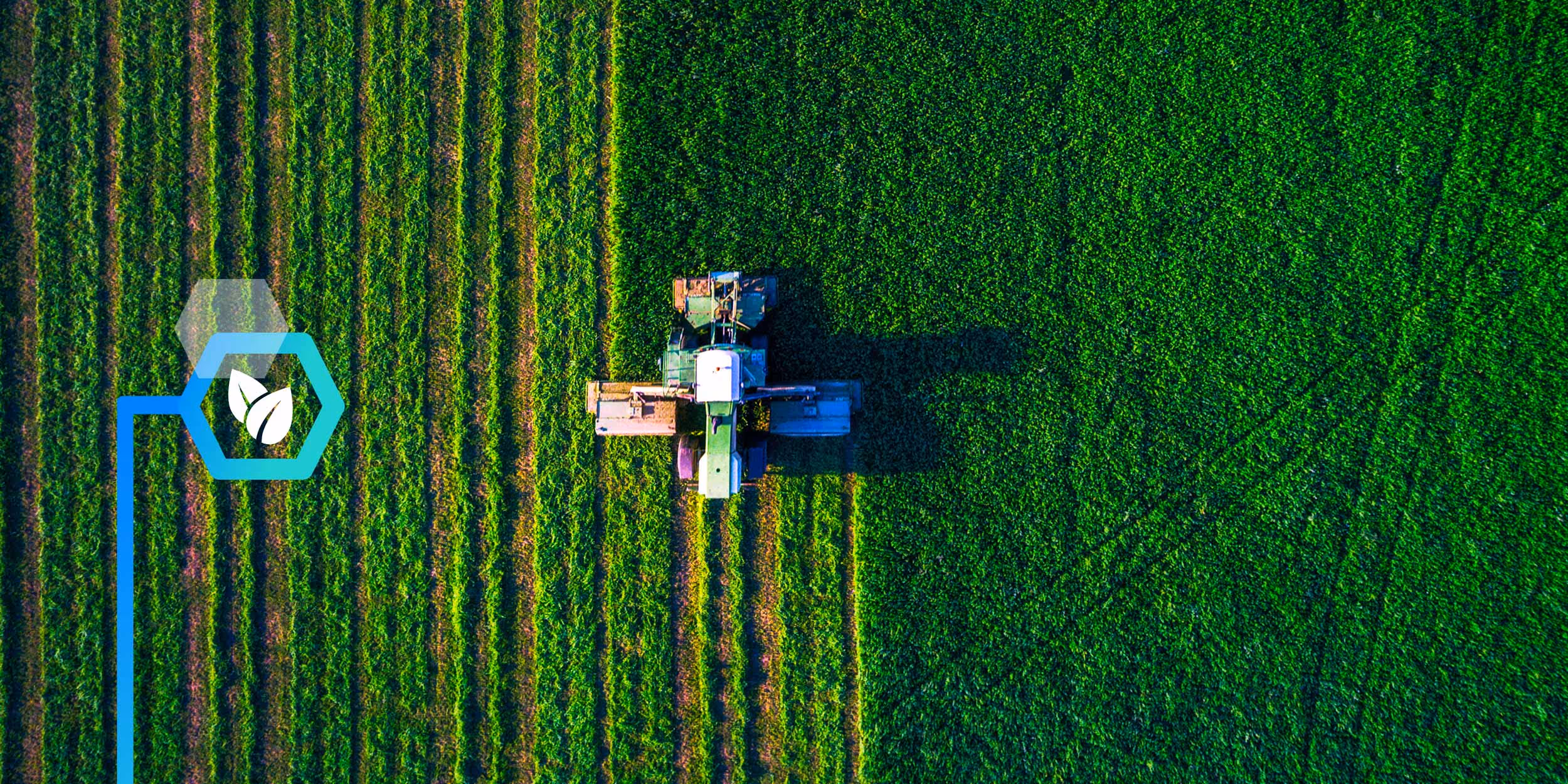 Unilever partners with NatureMetrics to deliver regenerative farming practices across its supply chain