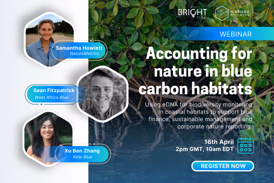 Accounting for nature in blue carbon habitats