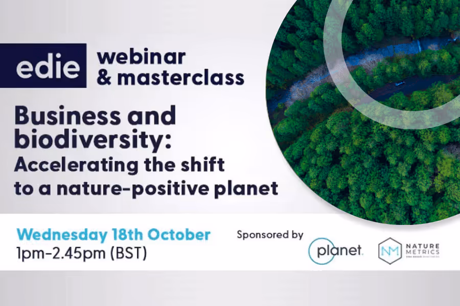 Business and biodiversity: Accelerating the shift to a nature-positive planet