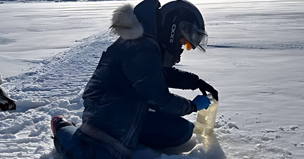 The NunatuKavut Community Council (NCC)