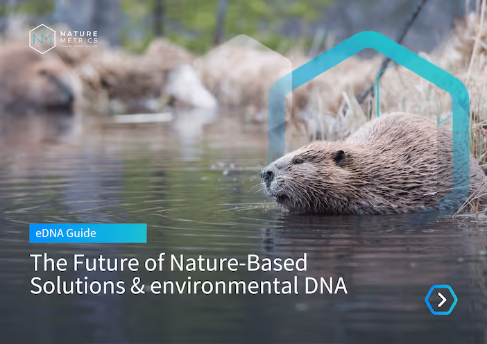 The future of Nature-based Solutions with eDNA