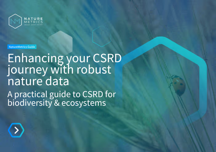 A Practical Guide to the CSRD's biodiversity requirements (ESRS E4)