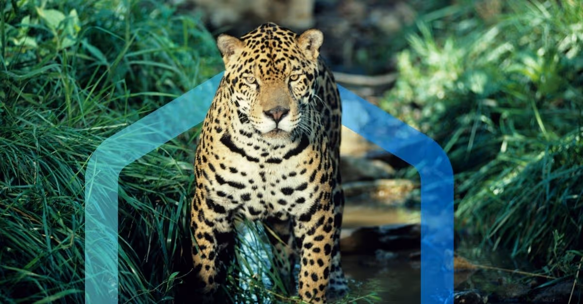 Placing Indigenous Peoples at the Heart of Nature Strategy: Reframing Corporate Approaches in the Pursuit of Nature Positive