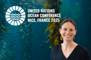 United Nations Ocean Conference: a sea change in measuring and protecting marine biodiversity?