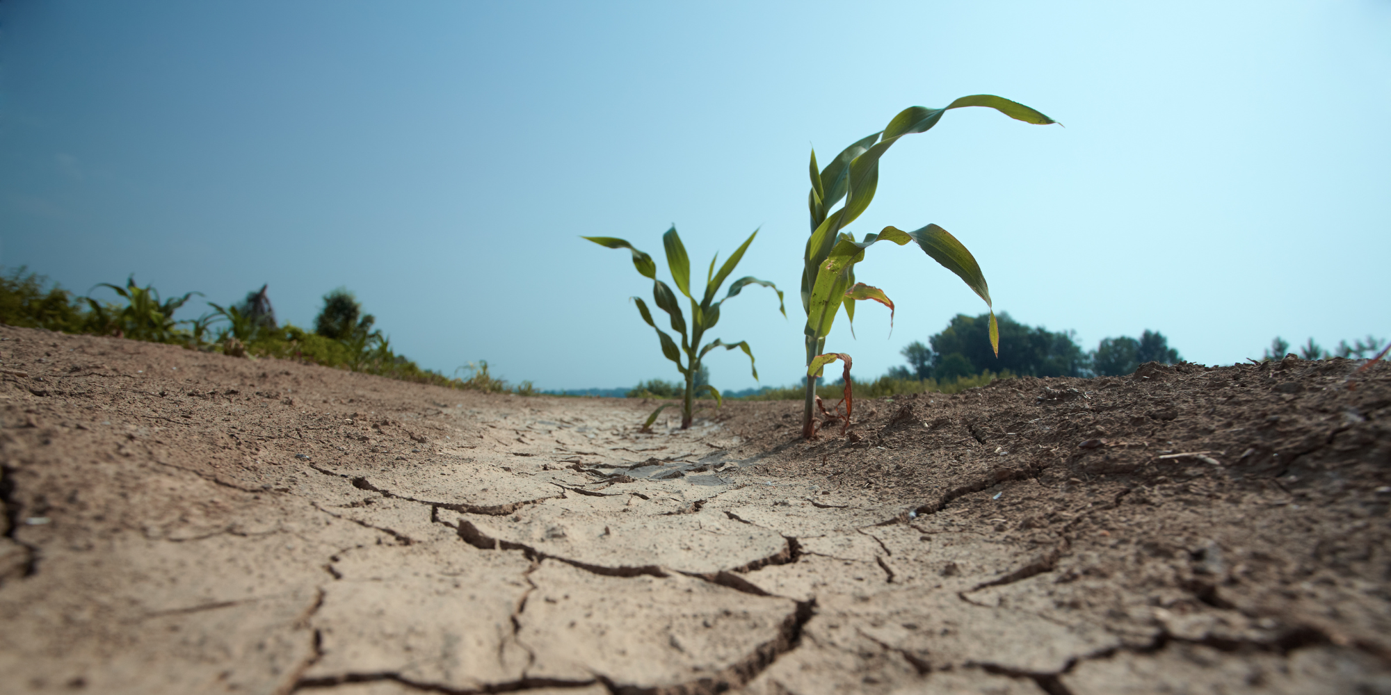 How to Avoid Common Pitfalls When Managing Nature-Related Risks