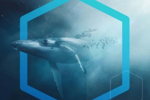 NatureMetrics secures $25m Series B funding to accelerate biodiversity monitoring technology solution 