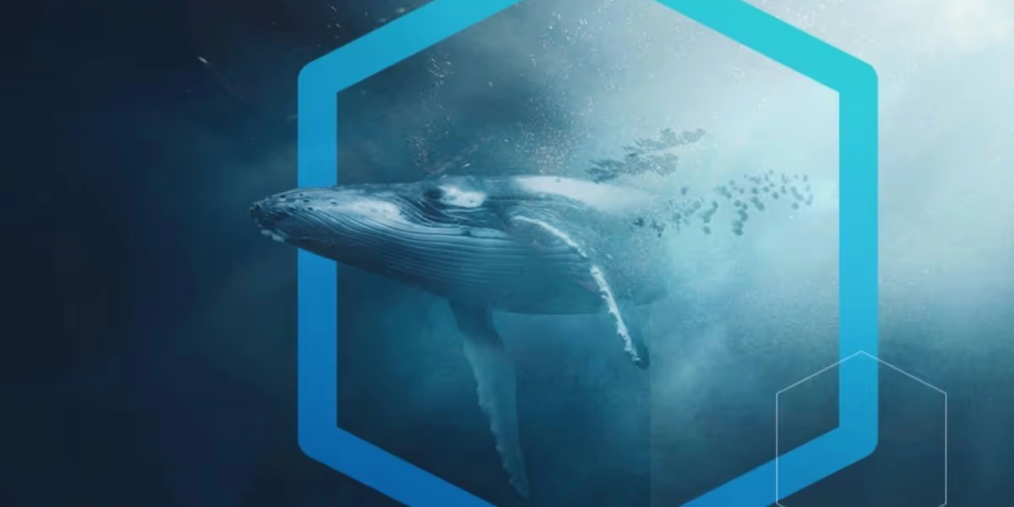 NatureMetrics secures $25m Series B funding to accelerate biodiversity monitoring technology solution 
