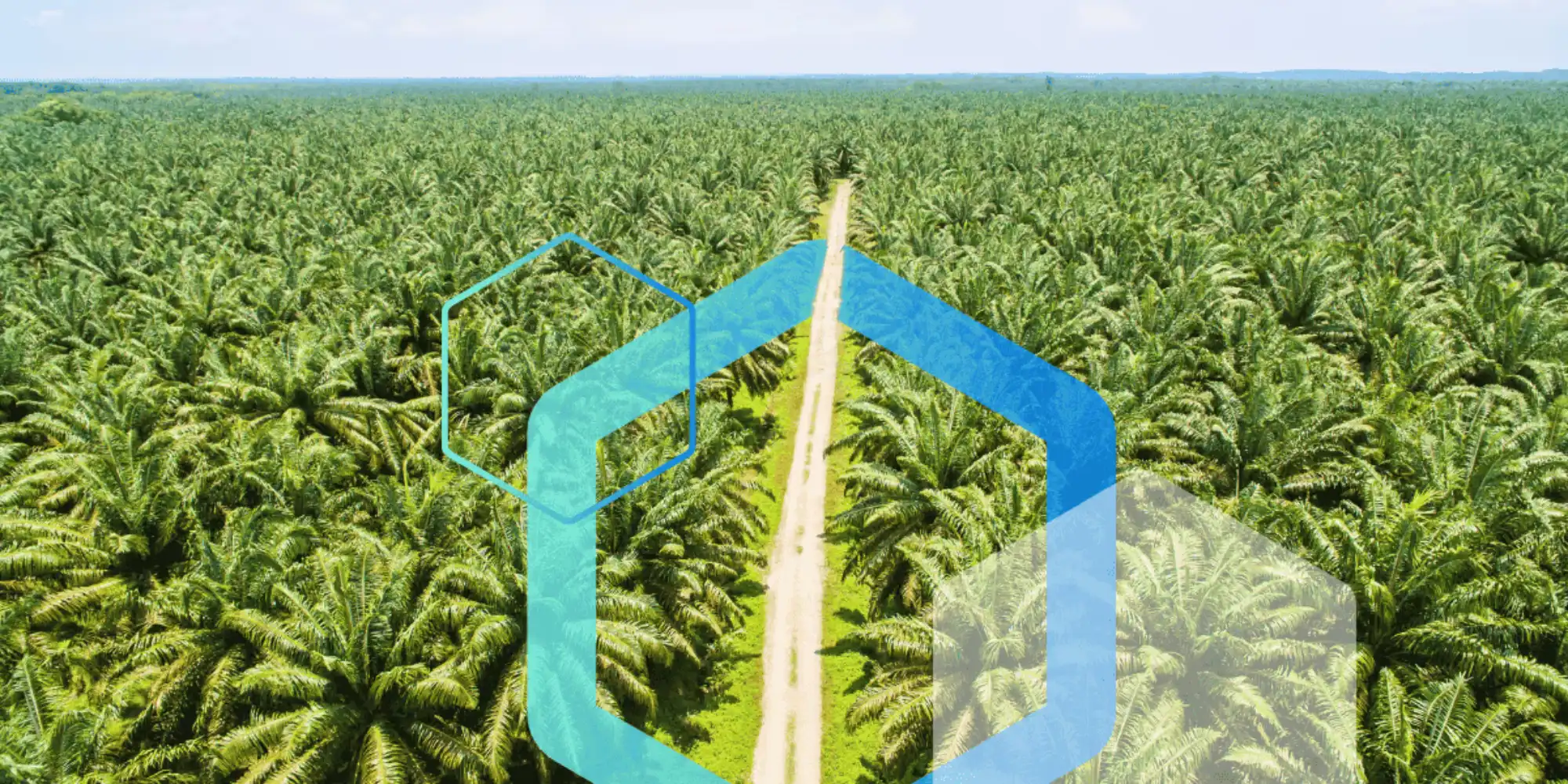 Beware, nature – the CSRD is not taking care of the state of you! 