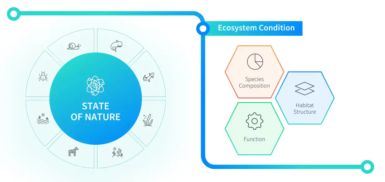 ‘Ecosystem Condition’: The nature metric you’ve been looking for 