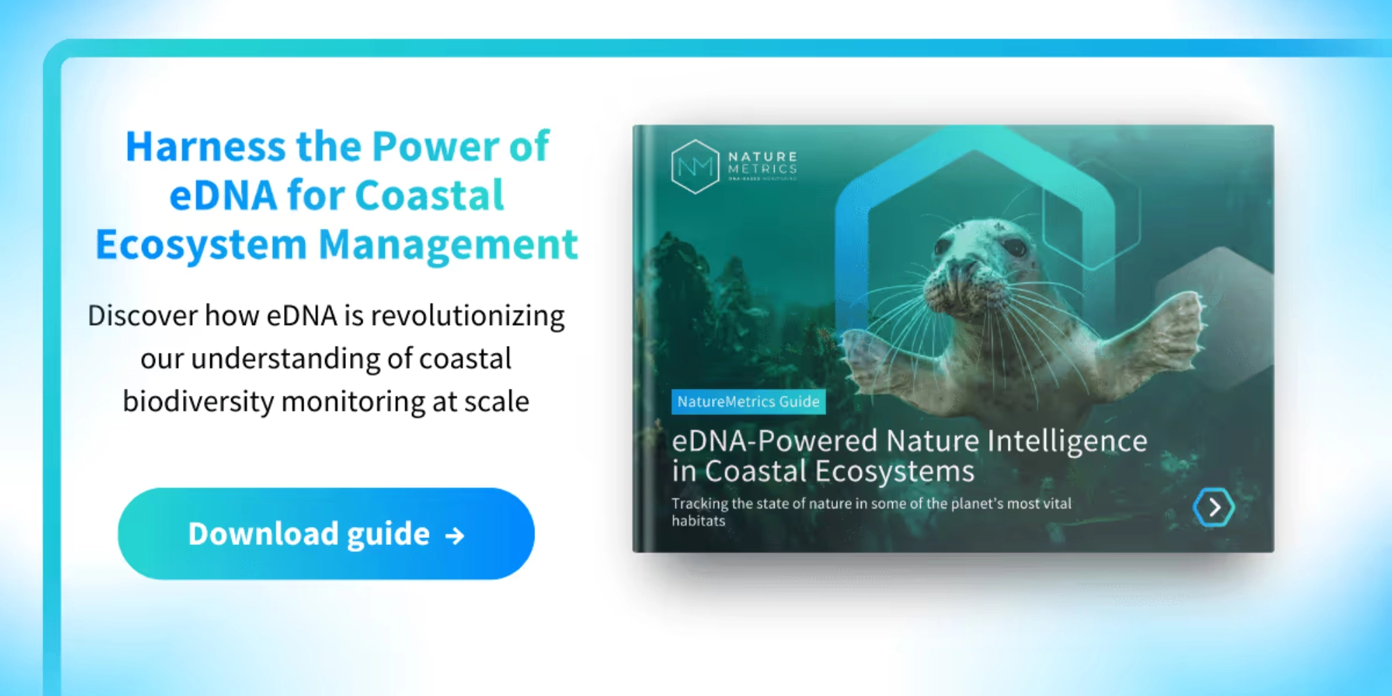 COP28: NatureMetrics unveils informative guide on eDNA-powered nature intelligence in coastal ecosystems as global leaders join for COP28