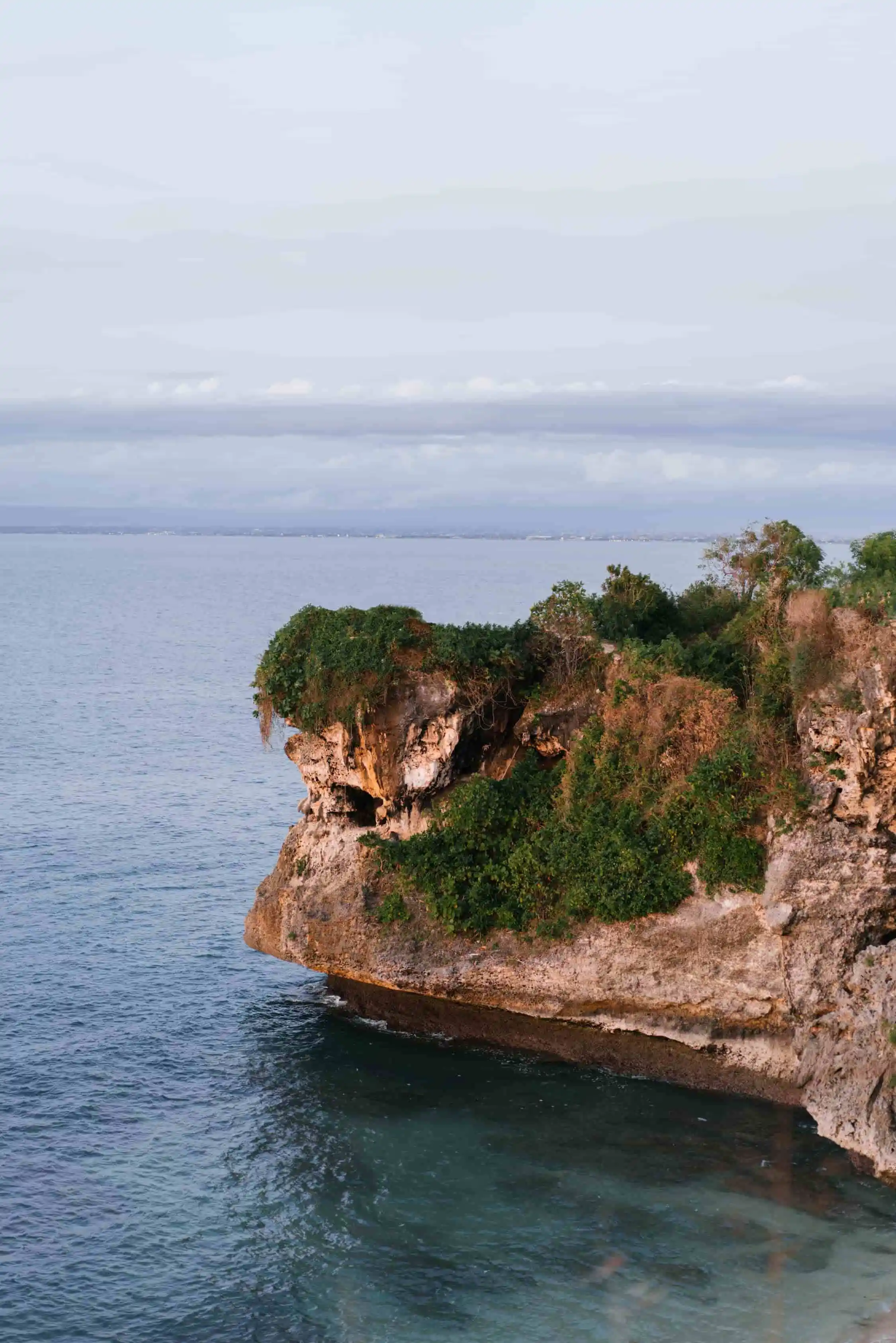 New Tools for Monitoring Biodiversity