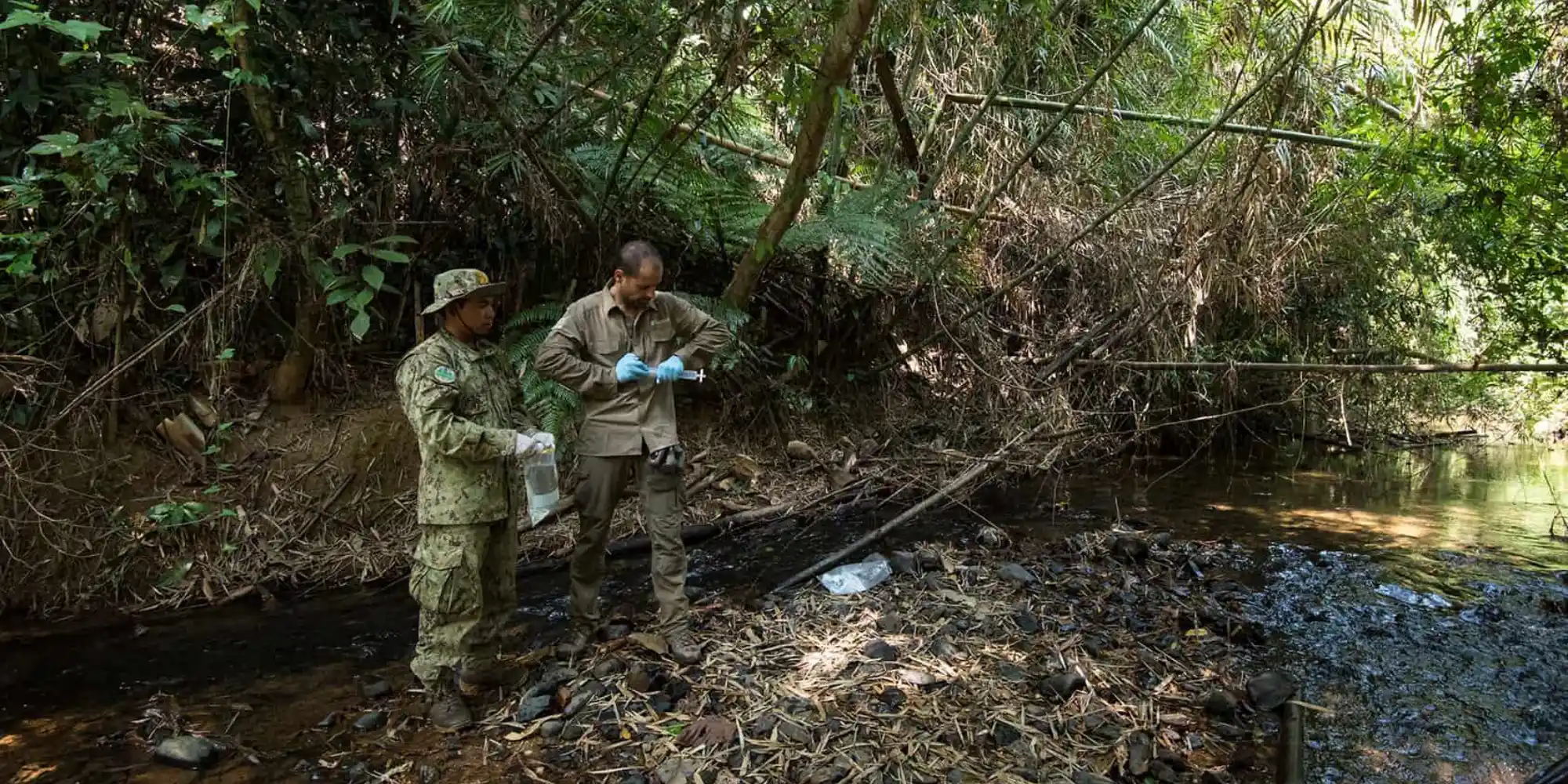 Turning Nature into Data with NatureMetrics