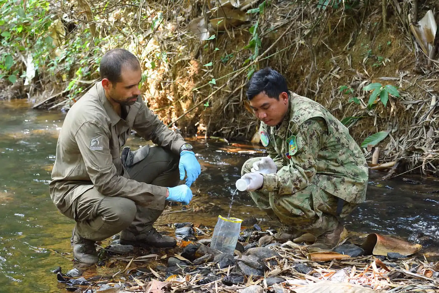 Extensive Practical Guide to DNA-based Biodiversity Assessment Methods Published
